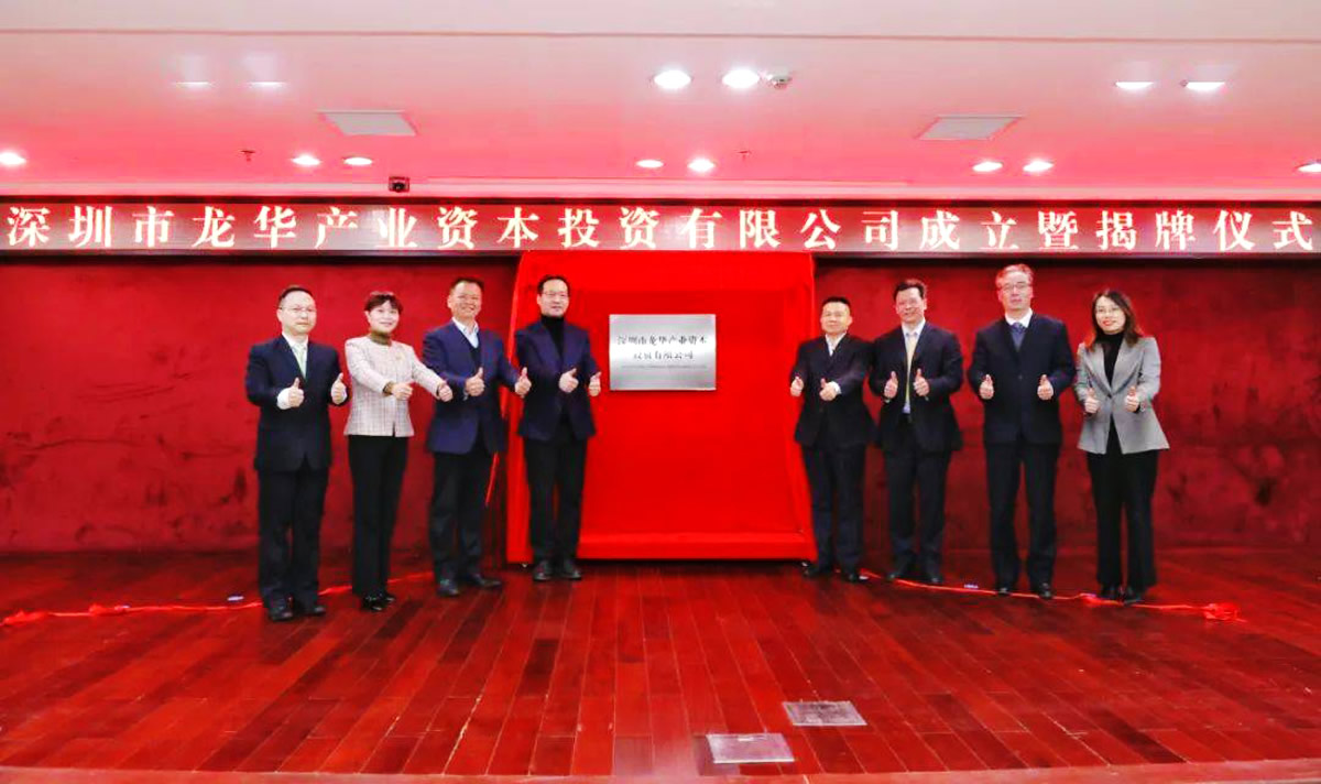 龍華資本品牌形象設計,龍華資本標志設計,龍華資本商標設計,國企標志設計,國企LOGO設計,國企VI設計,國企品牌設計